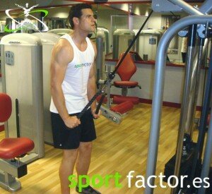 Extensiones de Tríceps en polea alta, agarre cuerda