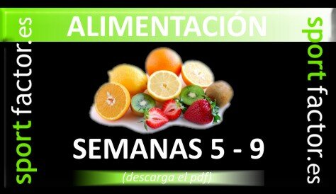 Plan de Nutrición para las próximas semanas