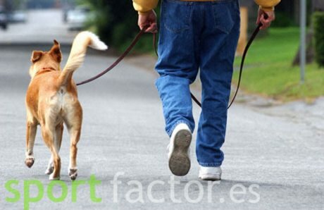 Caminar es un ejercicio sano Sal a pasear