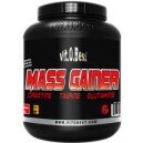 MASS GAINER
