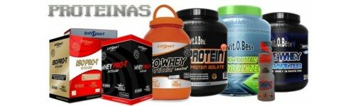 PROTEINAS