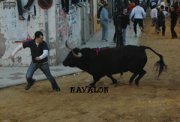 Javier tamarit zaragoz�