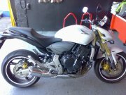 Carlos garc�a