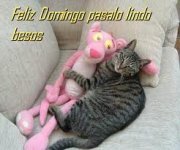 Marcelo garcia