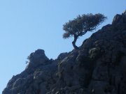 Antonio jes�s parra tenorio